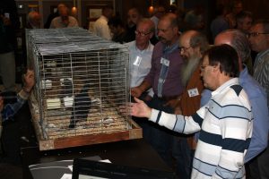 uitleg met levend materiaal 